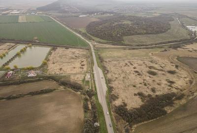 Teren extravilan in Ineu - 5