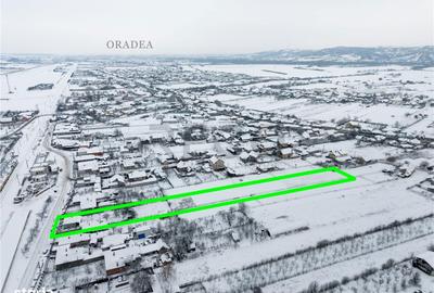 Spațiu comercial, în Oșorhei - 15