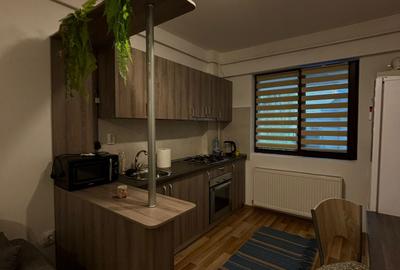 Apartament cu 2 camere decomandat, mobilat în Palat - 3