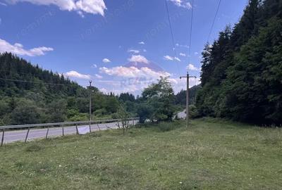 Teren spectaculols de vanzare la baza Muntelui Iezer 11.546 mp c - 2