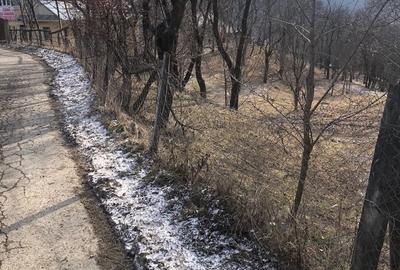 Teren de 2600 mp, în Jitia - 4