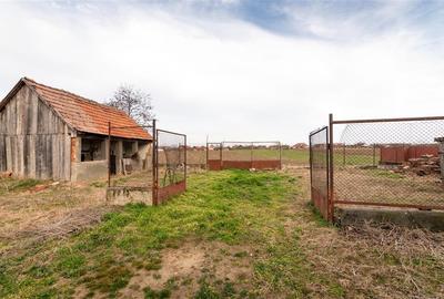 RECO Casa batraneasca cu teren generos in Girisu de Cris - 8