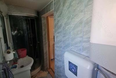 Curte cu doua case si teren - 3