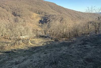 Teren de 1780 mp, în Valea Doftanei - 2