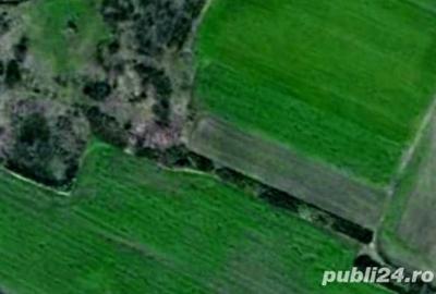 Teren de 15000 mp, în Folea