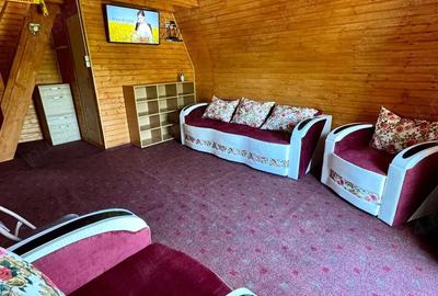 Casă cu Teren 1000 Mp în Vulcana de Sus - 3