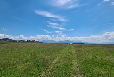 TEREN INTRAVILAN  BOD - 1200 mp pentru constructii case Sp+P+E+M - 14