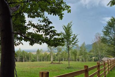 Spațiu comercial, în Glăjărie - 6