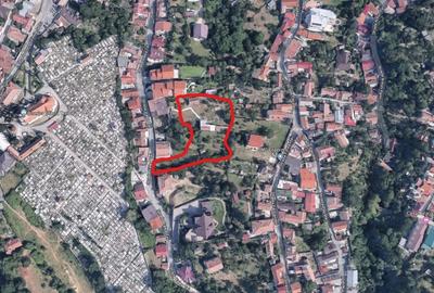 Teren Construcții intravilan de 5000 mp, în Centrul Istoric - 1