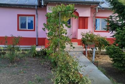 Casă cu 3 camere cu Teren 3000 Mp în Central - 17