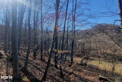 Spațiu comercial, în Pâncești - 8