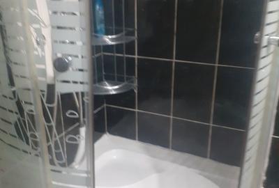 Apartament cu 2 camere decomandat în Păcuri - 5