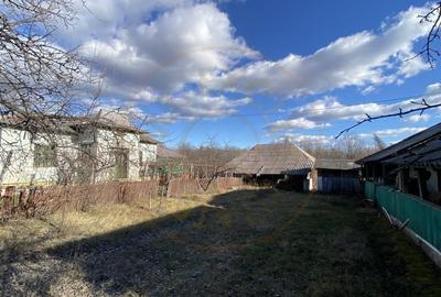 Casa traditionala argeseana cu teren generos - comuna Vedea, jud. Arges - 11