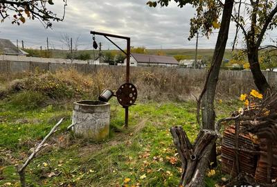 Casa cu teren 2000mp - 5