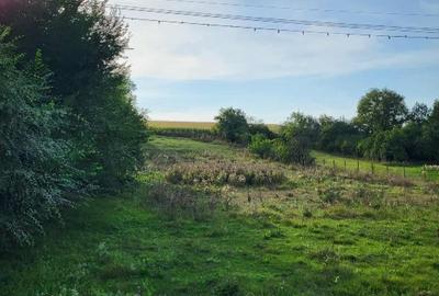 Teren intravilan sat Hărțău comuna Pănet Teren intravilan sat Hărțău comuna Pănet - 1