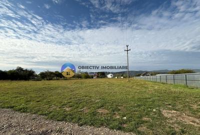 Teren de vanzare 1800 mp Dumbrava Ro?ie - 11