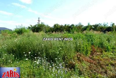 Teren de 1114 mp, în Tătărani - 4