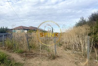 Manasia, teren 3905 mp, pozitie la drum judetean Manasia, teren 3905 mp, pozitie la drum judetean - 2