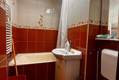 Apartament cu 2 camere semidecomandat, mobilat în P-ța Reșița - 11