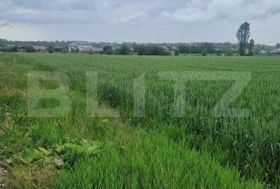 Teren pentru casa intravilan , 800 mp deschidere la drum Bod - 4