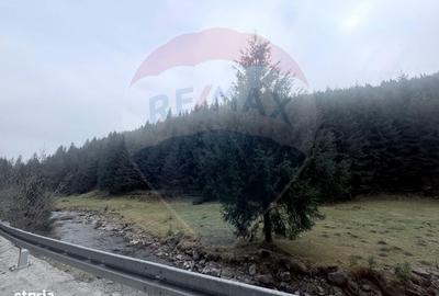 Spațiu comercial, în Arieșeni - 11