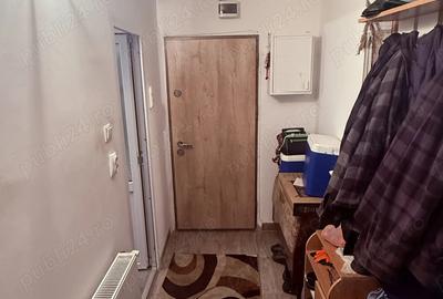 Buzias Timis apartament cu 1 camera de vanzare complet mobilat si izolat - 7