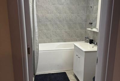 Garsonieră decomandată, mobilată în Theodor Pallady - 6