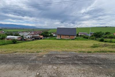 Teren intravila Sura Mare 1000mp - 2