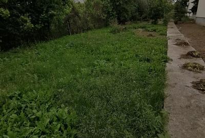 Teren Construcții intravilan de 506 mp, în Palazu Mare - 1