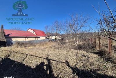 Teren de 1650 mp, în Ciurea - 3