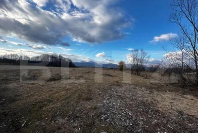 Teren de 8000 mp, în Debarcader - 2