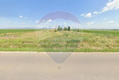 Teren de 9750 mp, în Hălchiu - 4