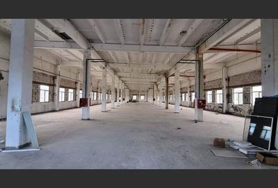 Proprietate Comerciala Premium | Vaslui - 8