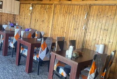 Cazare Casa Gerard - 1