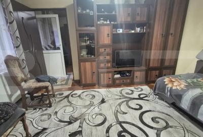 Casă cu 1 camere cu Teren 1306 Mp în Careiului - 18