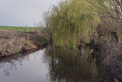 Casă cu 3 camere în Mișca - 2