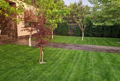 Casă cu 5 camere cu Teren 4000 Mp în Pantelimon - 3