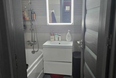 Casă cu 2 camere în Mehala - 4