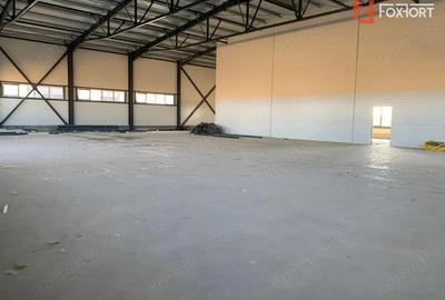 Hala industriala 600 mp, curte 1398 mp, parcare, toate utilitatile - Ghiroda - 2