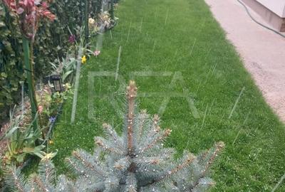 Casă individuală cu 6 camere cu Canalizare în Titan - 31