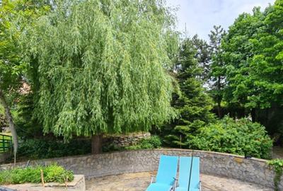 Casă cu 7 camere cu Piscina în Săftica - 5