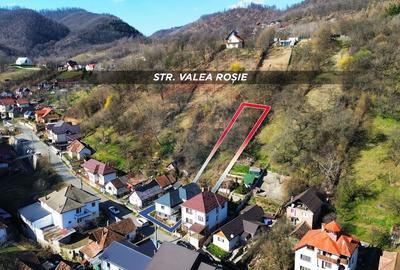 Casă cu 3 camere cu Teren 1071 Mp în Valea Roșie - 13