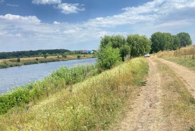 Teren Construcții intravilan de 7744 mp, în Moara Vlăsiei - 4