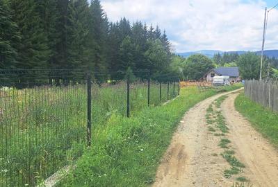 Teren de 2500 mp, în Valea Doftanei - 3