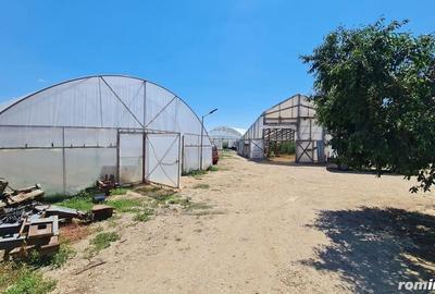 Spațiu comercial, de 11,000 mp, în Ulmi - 4