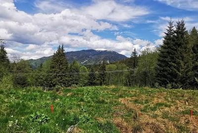 Predeal teren intravilan 4351 mp - 2