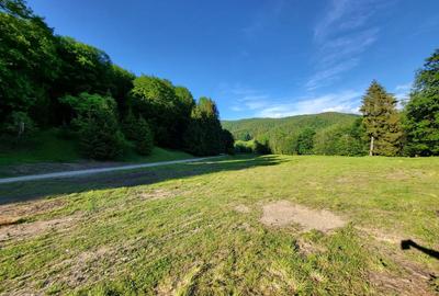 Teren de 12.000 mp la Vama Buzăului – Locație de Vis cu PUZ Aprobat - 1