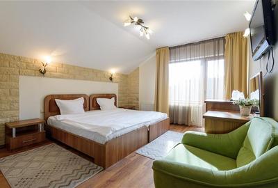 Domeniu turistic, zona pitoreasca, priveliste, aer curat, conditii speciale - 2