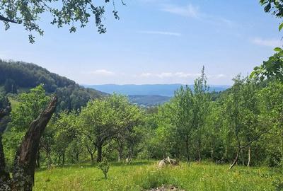 Casă cu 2 camere cu Teren 27263 Mp în Brusturi - 3