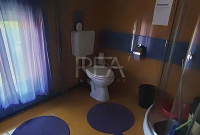 Casă cu 10 camere cu Teren 633 Mp în Domnești - 14